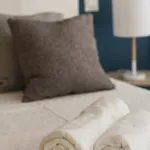 Blue & White House