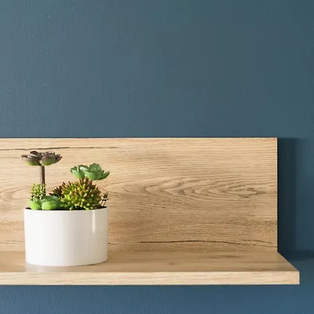 Blue & White House *